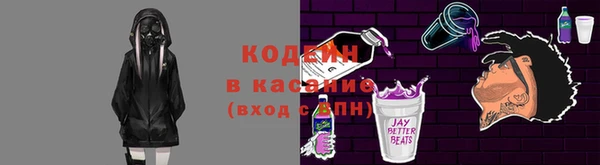 индика Алзамай