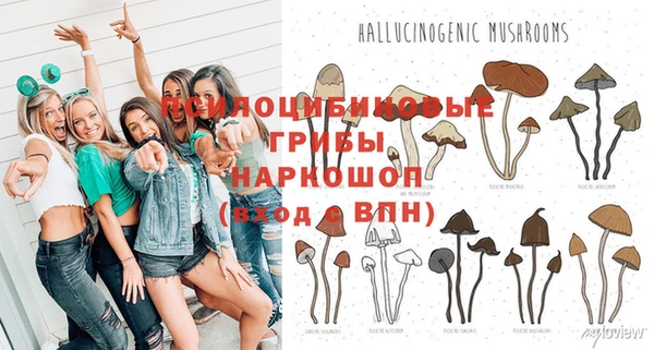 индика Алзамай