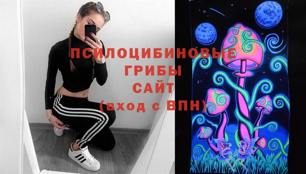 индика Алзамай