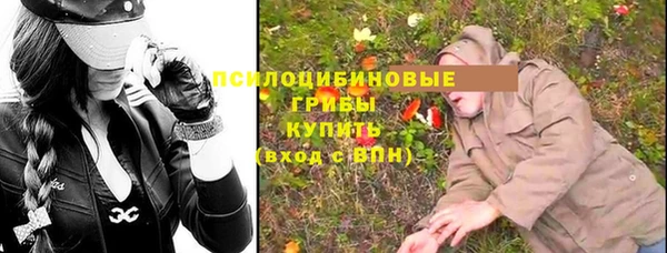 индика Алзамай