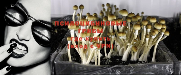тгк Нязепетровск